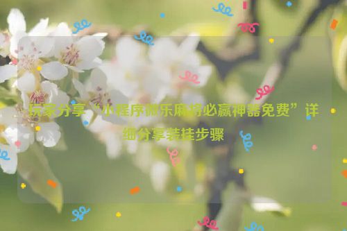 玩家分享“小程序微乐麻将必赢神器免费”详细分享装挂步骤