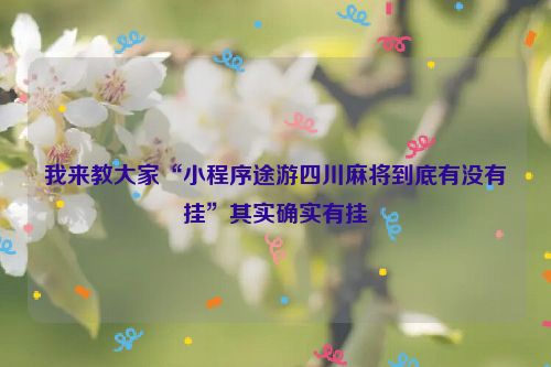 我来教大家“小程序途游四川麻将到底有没有挂”其实确实有挂