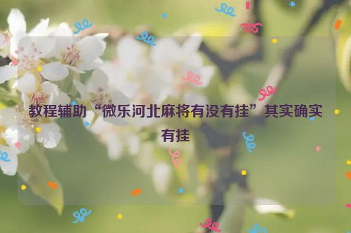 教程辅助“微乐河北麻将有没有挂”其实确实有挂