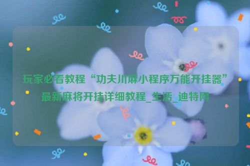 玩家必看教程“功夫川麻小程序万能开挂器”最新麻将开挂详细教程_生活_迪特网