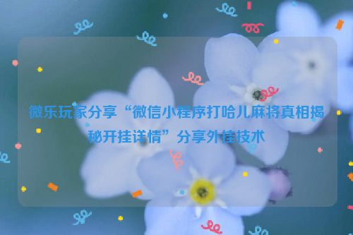 微乐玩家分享“微信小程序打哈儿麻将真相揭秘开挂详情”分享外挂技术