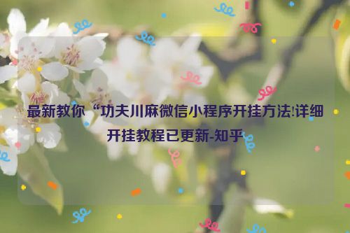 最新教你“功夫川麻微信小程序开挂方法!详细开挂教程已更新-知乎