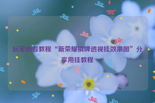 玩家必看教程“新荣耀棋牌透视挂效果图”分享用挂教程