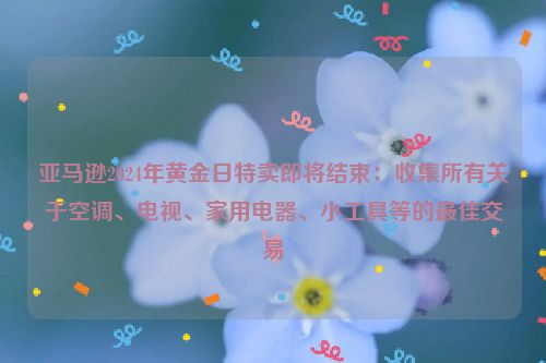 亚马逊2024年黄金日特卖即将结束：收集所有关于空调、电视、家用电器、小工具等的最佳交易