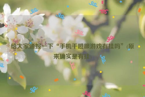 给大家通报一下“手机干瞪眼游戏有挂吗”(原来确实是有挂)