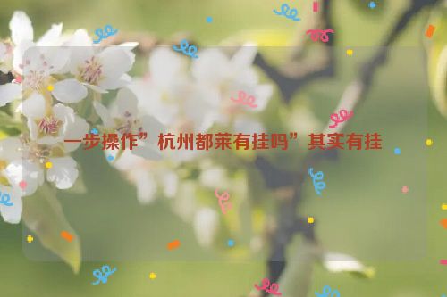 一步操作”杭州都莱有挂吗”其实有挂