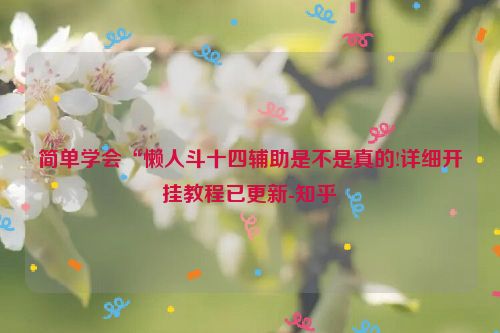 简单学会“懒人斗十四辅助是不是真的!详细开挂教程已更新-知乎