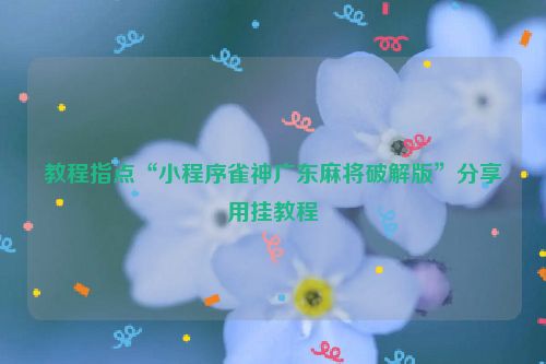 教程指点“小程序雀神广东麻将破解版”分享用挂教程