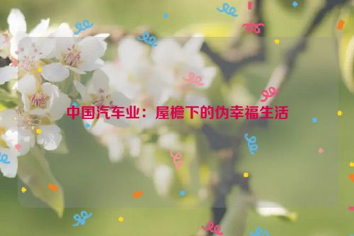 中国汽车业：屋檐下的伪幸福生活