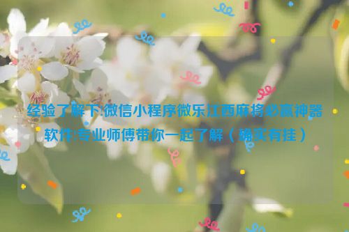 经验了解下!微信小程序微乐江西麻将必赢神器软件!专业师傅带你一起了解（确实有挂）