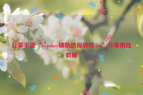 分享干货“wepoker辅助透视软件 ios”分享用挂教程