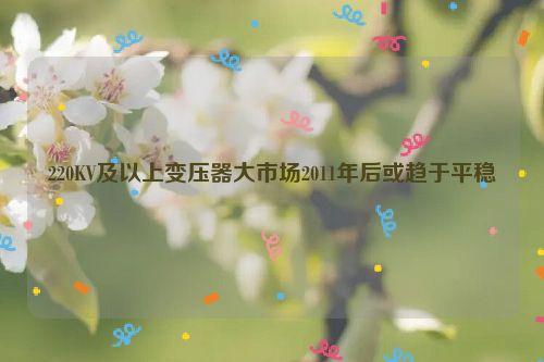 220KV及以上变压器大市场2011年后或趋于平稳