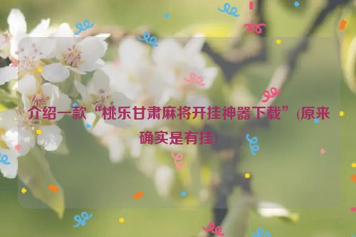 介绍一款“桃乐甘肃麻将开挂神器下载”(原来确实是有挂)
