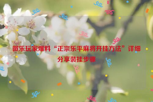 微乐玩家爆料“正宗乐平麻将开挂方法”详细分享装挂步骤