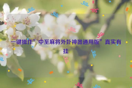 一键操作”中至麻将外卦神器通用版”真实有挂