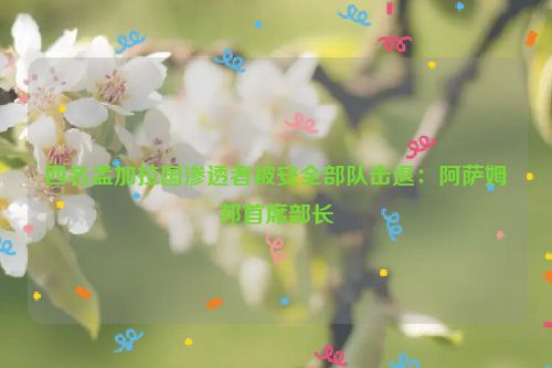 四名孟加拉国渗透者被安全部队击退：阿萨姆邦首席部长