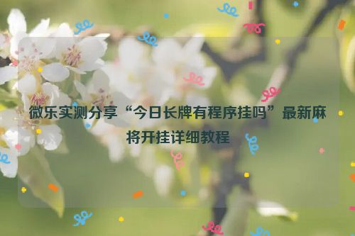 微乐实测分享“今日长牌有程序挂吗”最新麻将开挂详细教程
