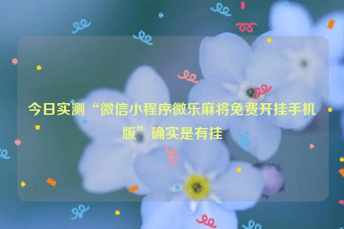 今日实测“微信小程序微乐麻将免费开挂手机版”确实是有挂