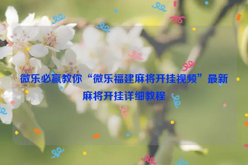 微乐必赢教你“微乐福建麻将开挂视频”最新麻将开挂详细教程