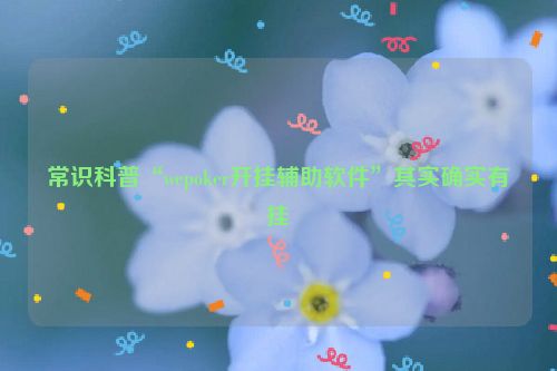 常识科普“wepoker开挂辅助软件”其实确实有挂