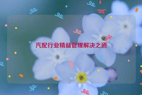 汽配行业精益管理解决之道