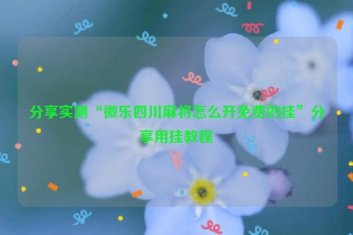 分享实测“微乐四川麻将怎么开免费的挂”分享用挂教程