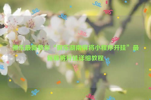 微乐最新教你“微乐湖南麻将小程序开挂”最新麻将开挂详细教程