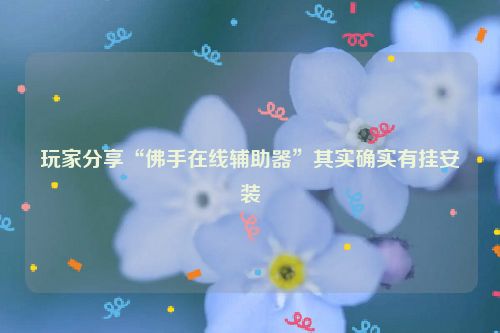 玩家分享“佛手在线辅助器”其实确实有挂安装