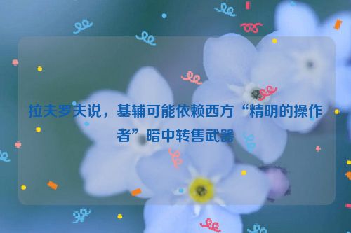 拉夫罗夫说，基辅可能依赖西方“精明的操作者”暗中转售武器