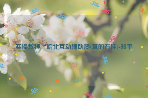 实操教程“皖北互动辅助器(真的有挂)-知乎