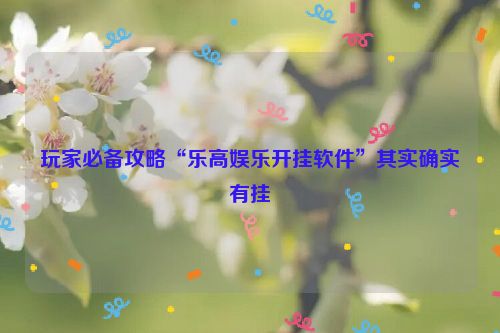 玩家必备攻略“乐高娱乐开挂软件”其实确实有挂