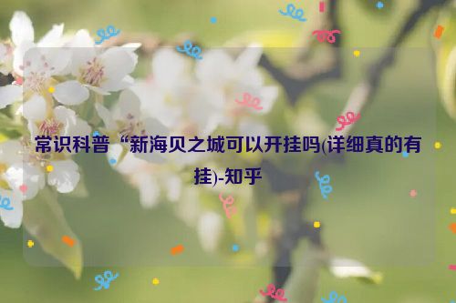 常识科普“新海贝之城可以开挂吗(详细真的有挂)-知乎