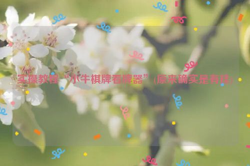 实操教程“小牛棋牌看牌器”(原来确实是有挂)