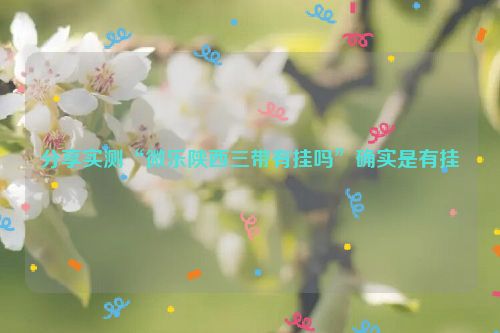 分享实测“微乐陕西三带有挂吗”确实是有挂
