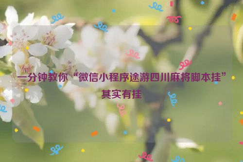 一分钟教你“微信小程序途游四川麻将脚本挂”其实有挂
