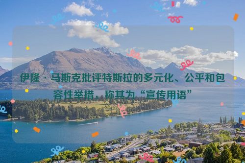 伊隆·马斯克批评特斯拉的多元化、公平和包容性举措，称其为“宣传用语”