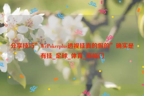 分享技巧”WePokerplus透视挂真的假的”确实是有挂_足球_体育_喜临门