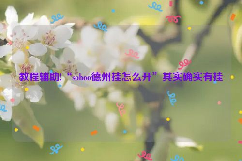 教程辅助!“sohoo德州挂怎么开”其实确实有挂