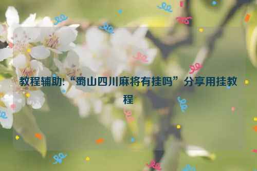 教程辅助!“蜀山四川麻将有挂吗”分享用挂教程