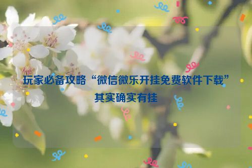 玩家必备攻略“微信微乐开挂免费软件下载”其实确实有挂