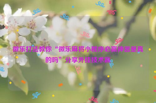 微乐打法教你“微乐麻将小程序必赢神器是真的吗”分享外挂技术赢