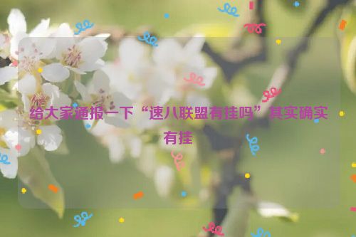 给大家通报一下“速八联盟有挂吗”其实确实有挂