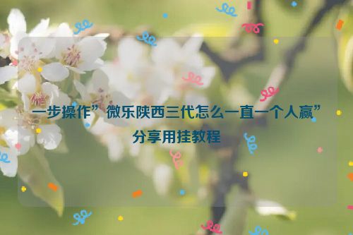 一步操作”微乐陕西三代怎么一直一个人赢”分享用挂教程