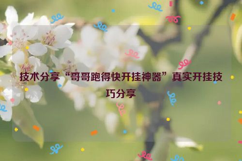技术分享“哥哥跑得快开挂神器”真实开挂技巧分享