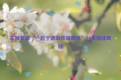 实操教程“一起宁德游戏辅助器”分享用挂教程