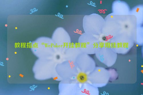 教程指点“WePoker开挂教程”分享用挂教程