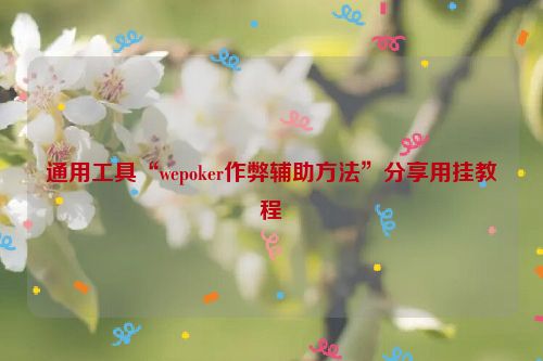 通用工具“wepoker作弊辅助方法”分享用挂教程