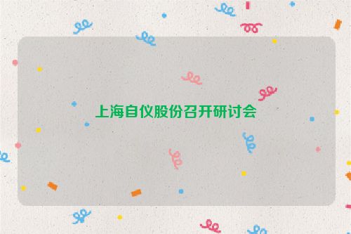 上海自仪股份召开研讨会