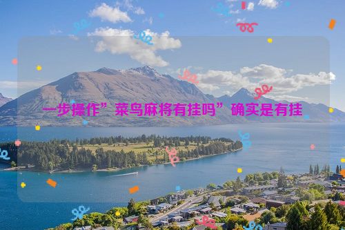 一步操作”菜鸟麻将有挂吗”确实是有挂