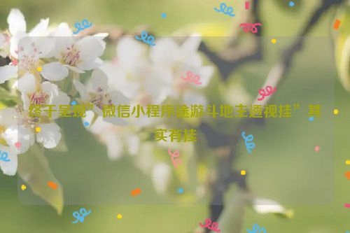 终于呈现”微信小程序途游斗地主透视挂”其实有挂